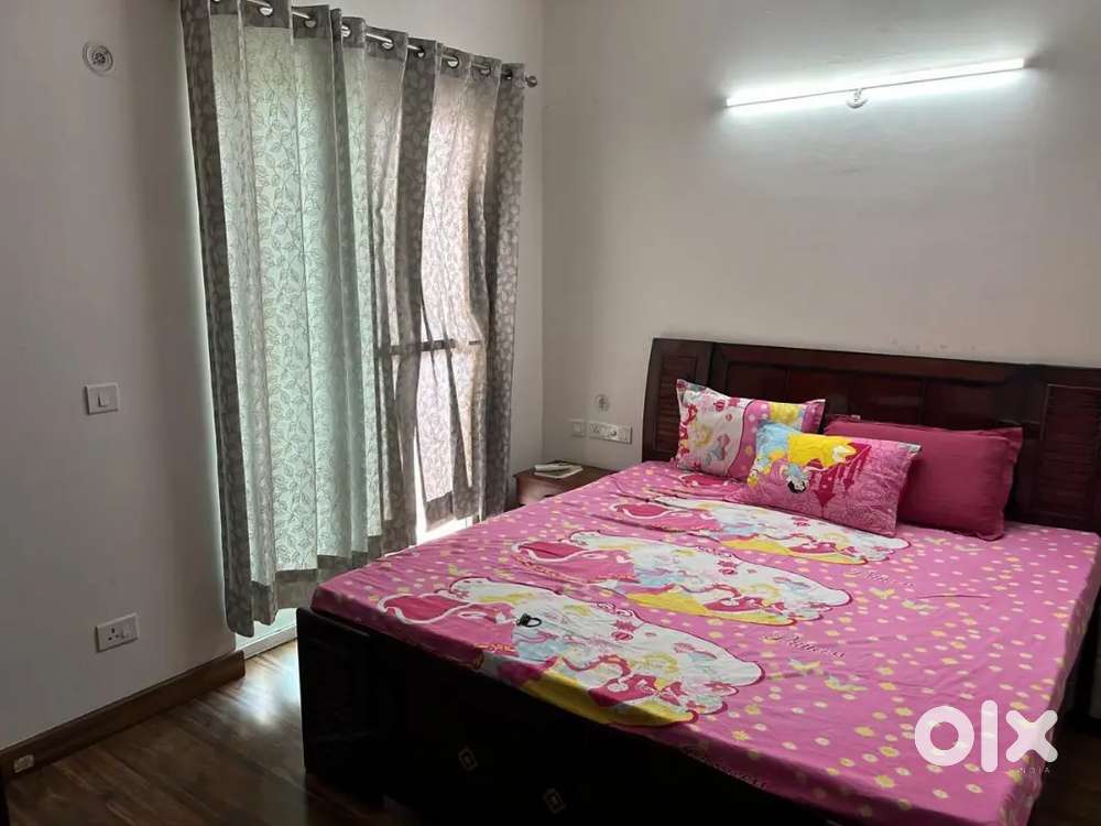 single room attached bathroom sec 37