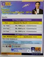 LIC MAHILA CAREER AGENT part time job