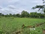 Santhapeta