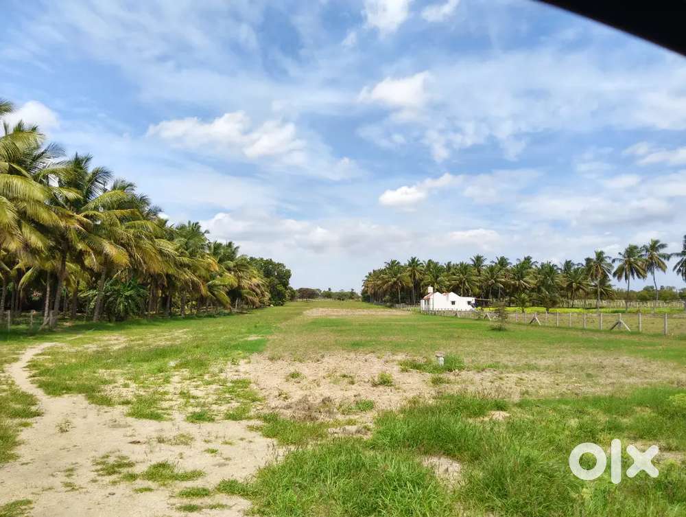 3 ACRE AGRI LAND SALE