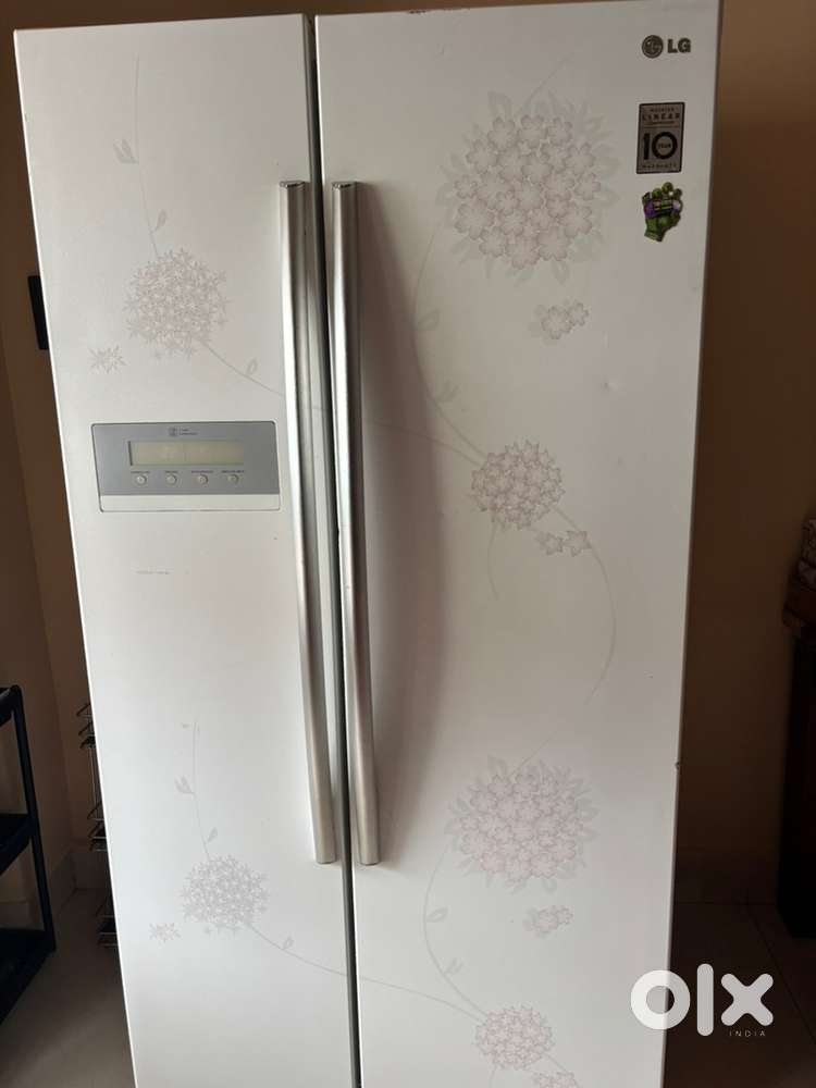 Lg double door fridge