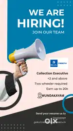 Collection Executive