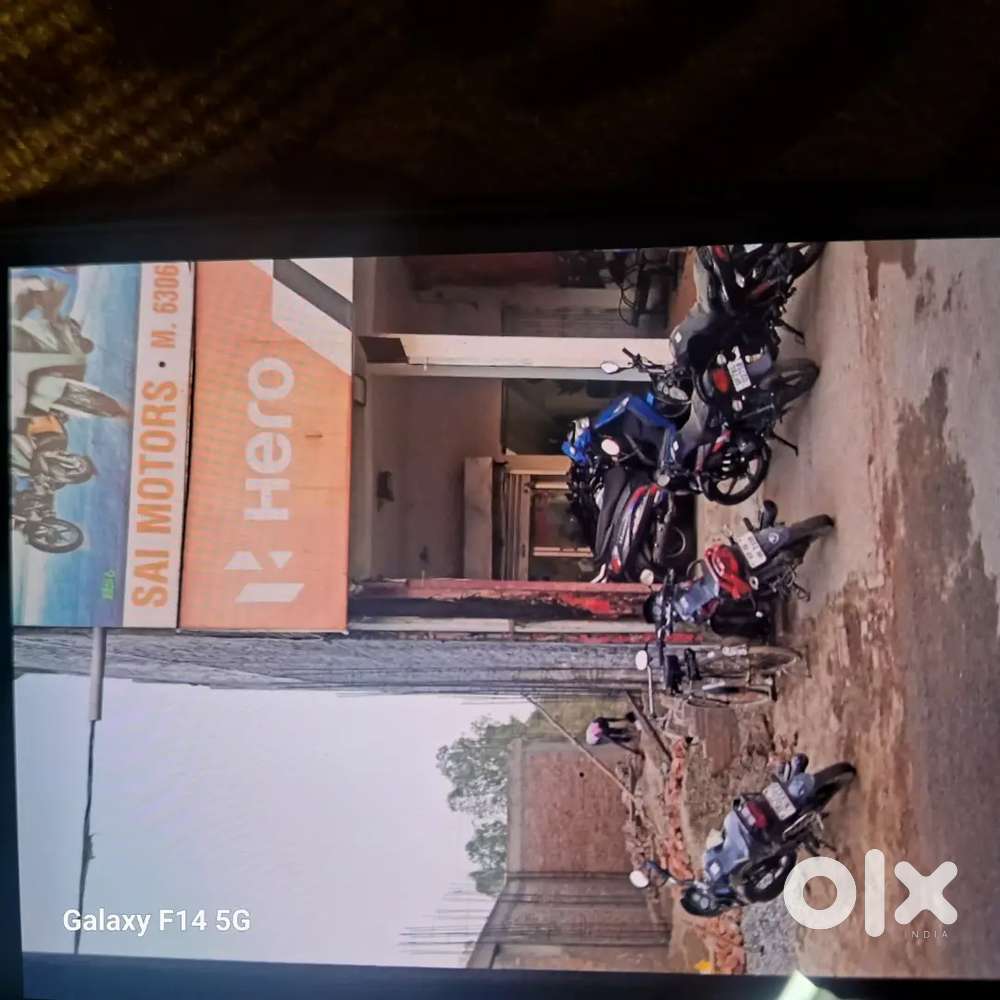 Suitable for bear house restaurant , cafe  pizza house