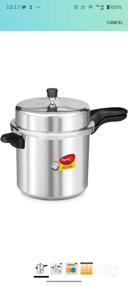 Pigeon 10L cooker