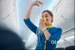 Cabin Crew