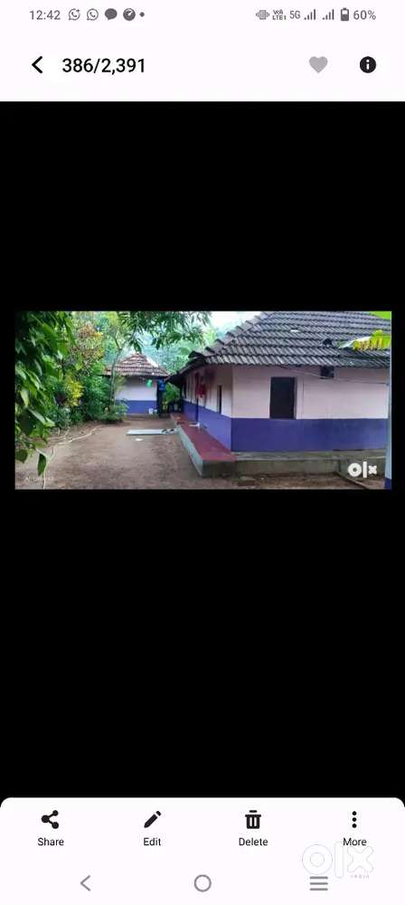 8 cent land & Old House for 10 Lakhs