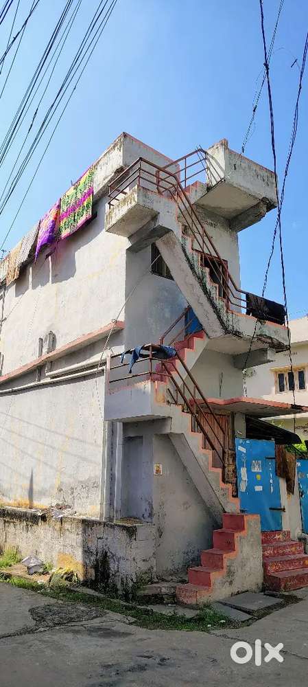 Ntr documented 1 cent 16 gaj