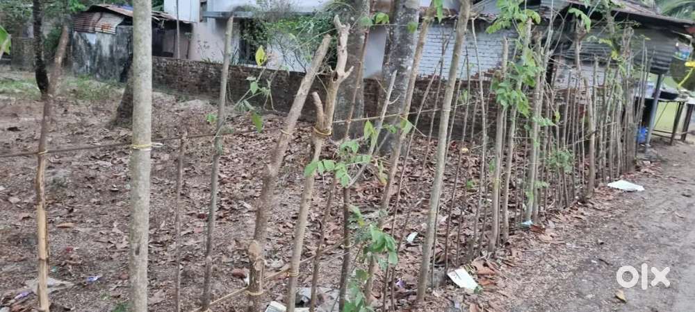5 cents of house plot for sale in pallippuram