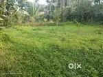 Residential Land For Sale In Kalpetta Wayanad