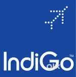 Urgent Requirements for Indigo airline Ground staff job
