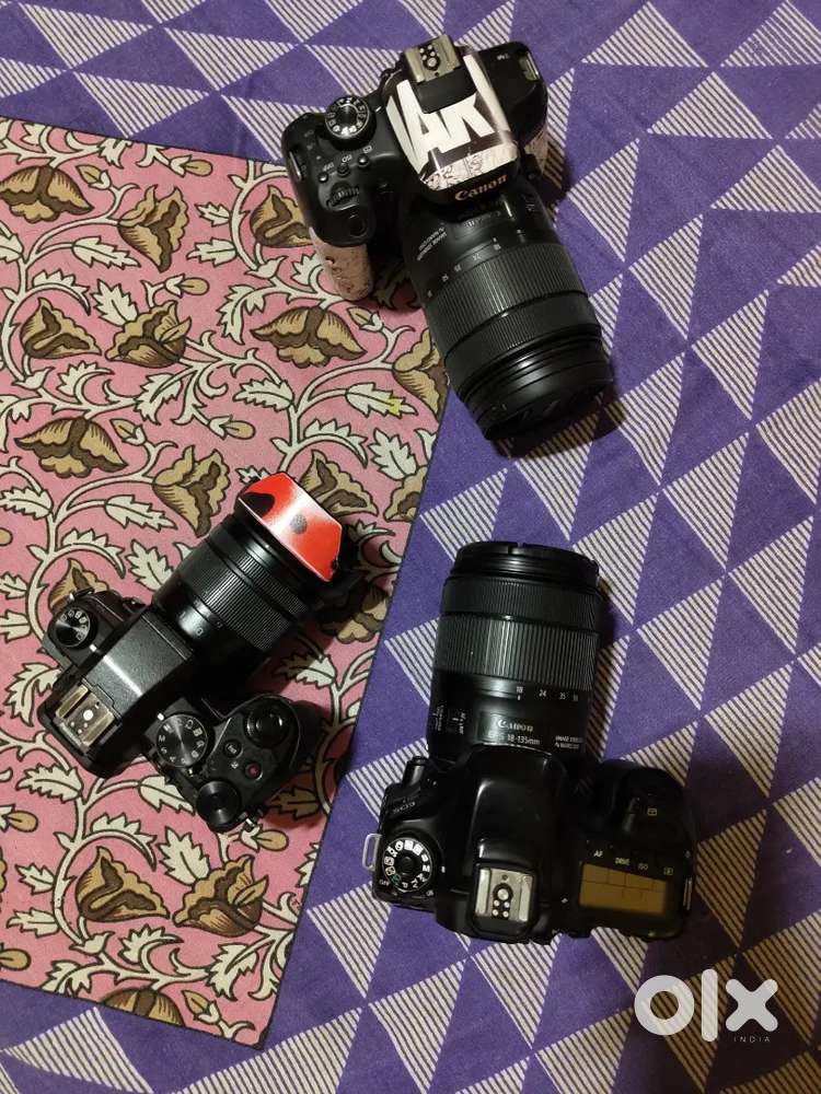 Camera canon and lumix