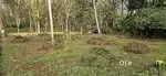 Pullad Kuravankuzhy near 10 cent house plot for sale.