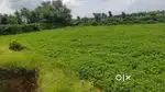 2.5 bigha hai MP Datiya ke pass govindpur me ST Category
