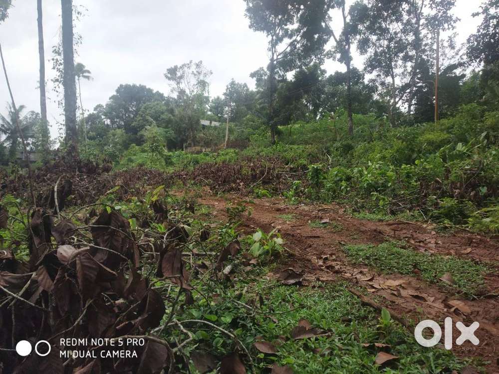 30-Cent Plot for Sale (Ponkunnam,Kerala)