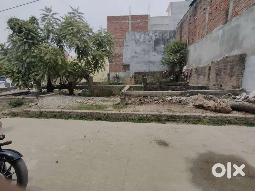 1900Area 15 foot road corner plot near fal Mandi 800 meter