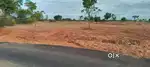 Low budget investment plots