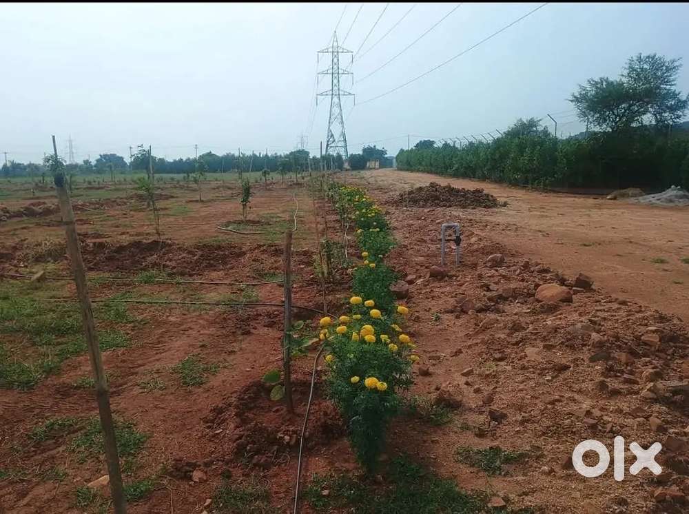 “Own farmland minutes from ORR Exit 8 — Book today!”