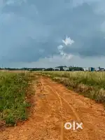 Plots in BHUBANESWAR with out LITIGATION