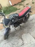 Honda shine 2015 bike