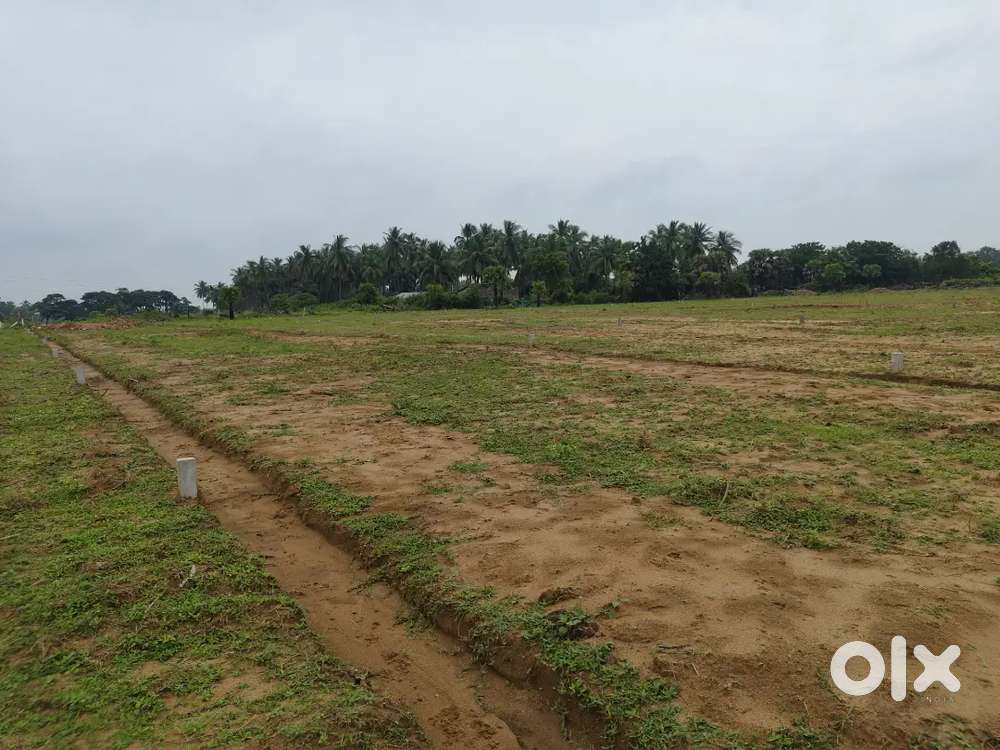 108 sqy plot for just 7 lakhs only at Gadala