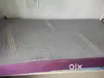 Wakefit Ortho Plus Mattress (75*36*8) + Protector (13 Years Warranty!)
