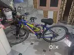 Sunbird MTB 29 Bayciyal