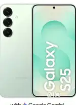 Samsung s25