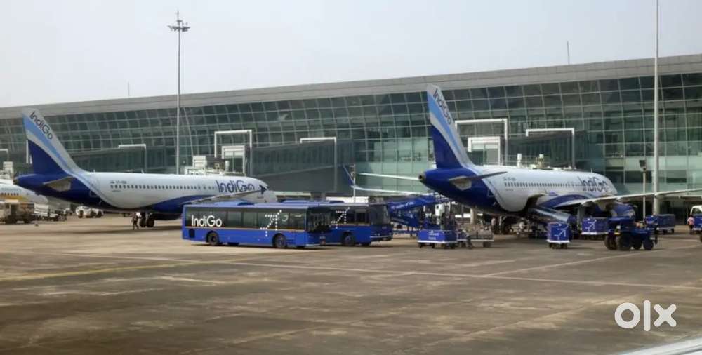 Indigo Airlines Jobs /Vacancy for Airport Ground Staff / Driver / Crew