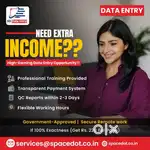 Data entry Earnings for you
