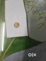 Indian coin