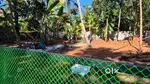 Square Plot for rent near Bypass road (50meters) Neeravil