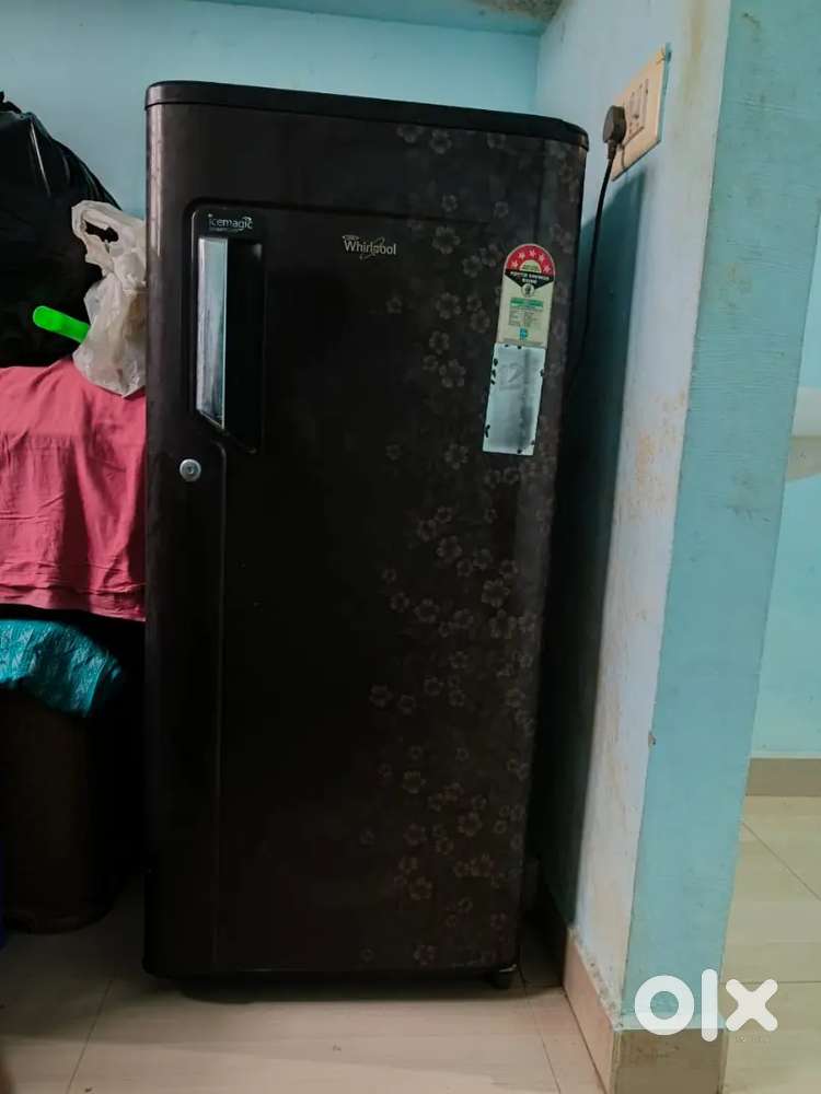 Affordable Fridge in Perfect Condition