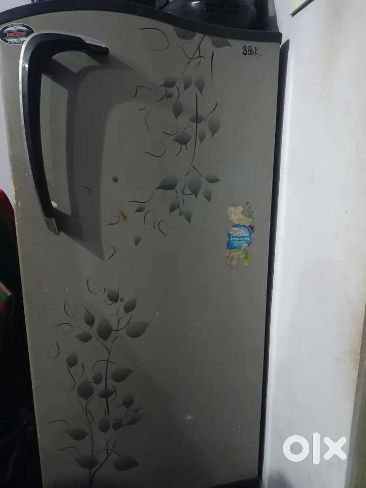 Refrigerator Single Door