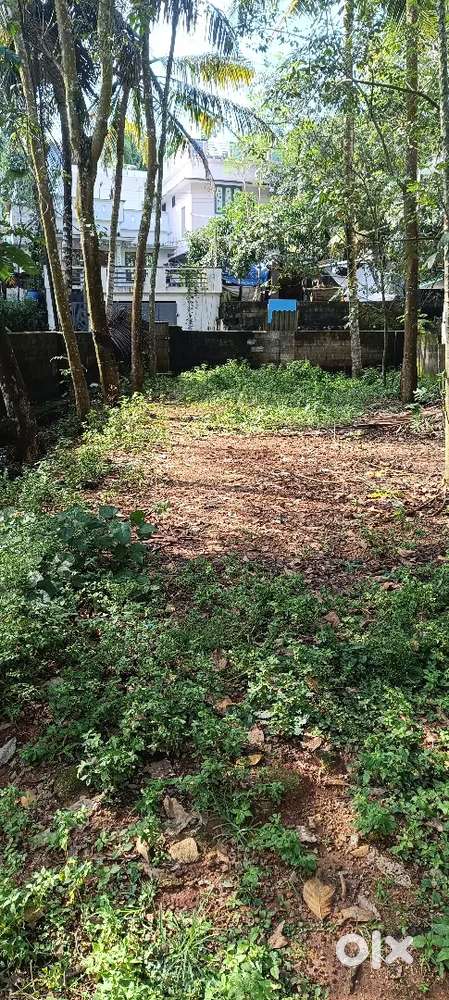 Land sale for house construction. A total of 31 cents.