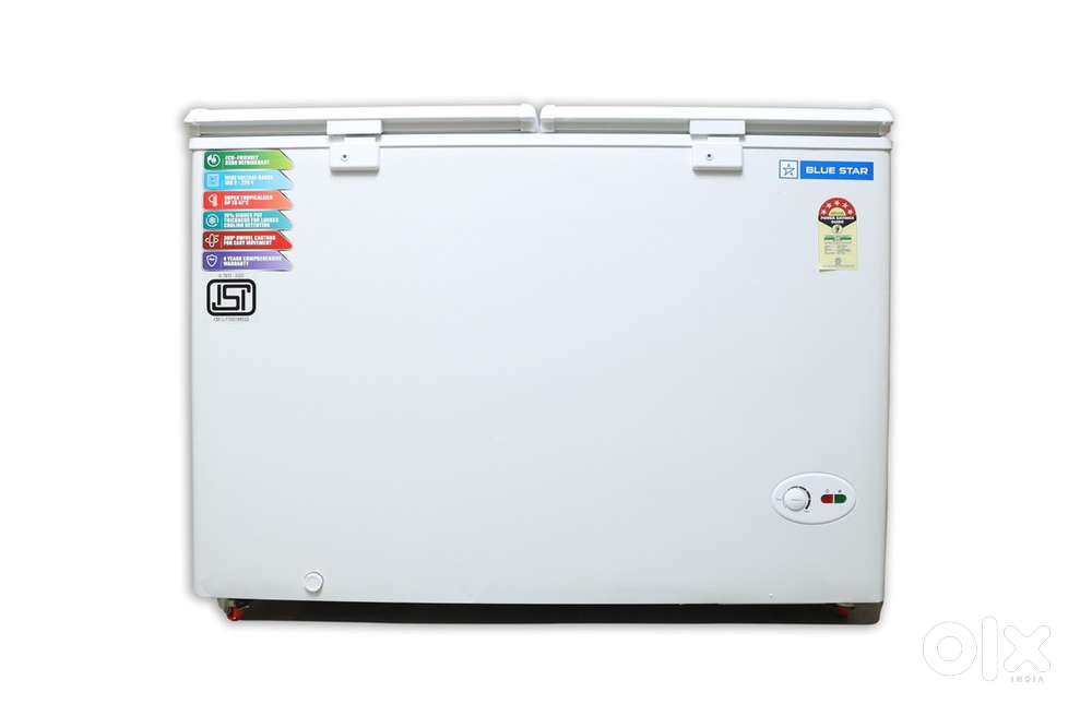 BLUESTAR Chest Freezer 310L