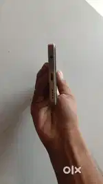 Howly assam