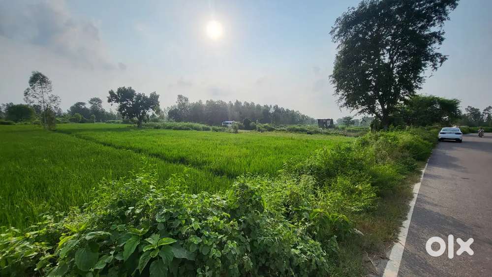Commercial Land for sale at Shivlalpur Amarjhanda