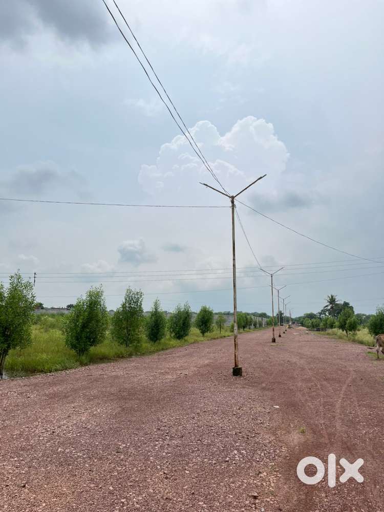 Damar road se lga hua farm house land uplabdh hai