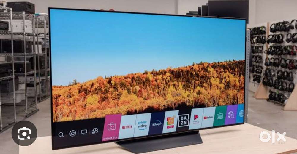 LG OLED 55 inch TV screen (not working)