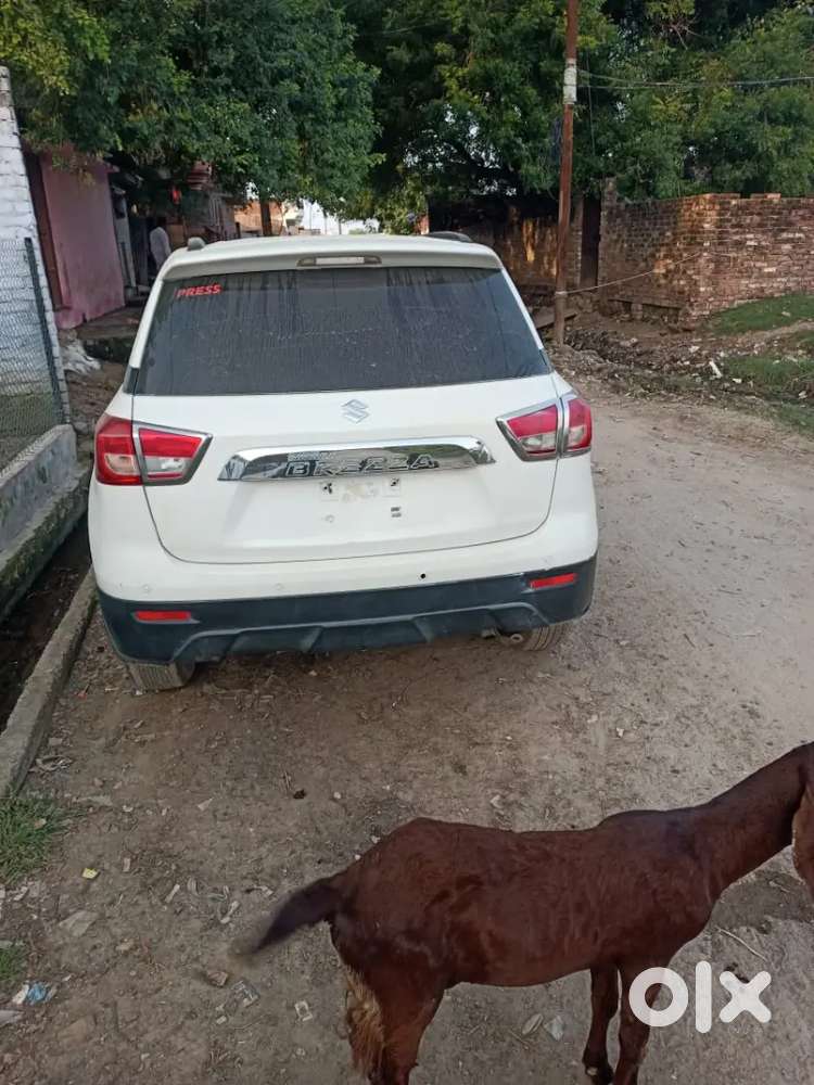 Maruti Suzuki Brezza 2019 Diesel 100000 Km Driven
