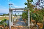 DTCP LAND FOR SALE AT VEERAPANDIPIRIVU