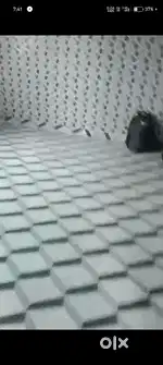 Need roommate' only female