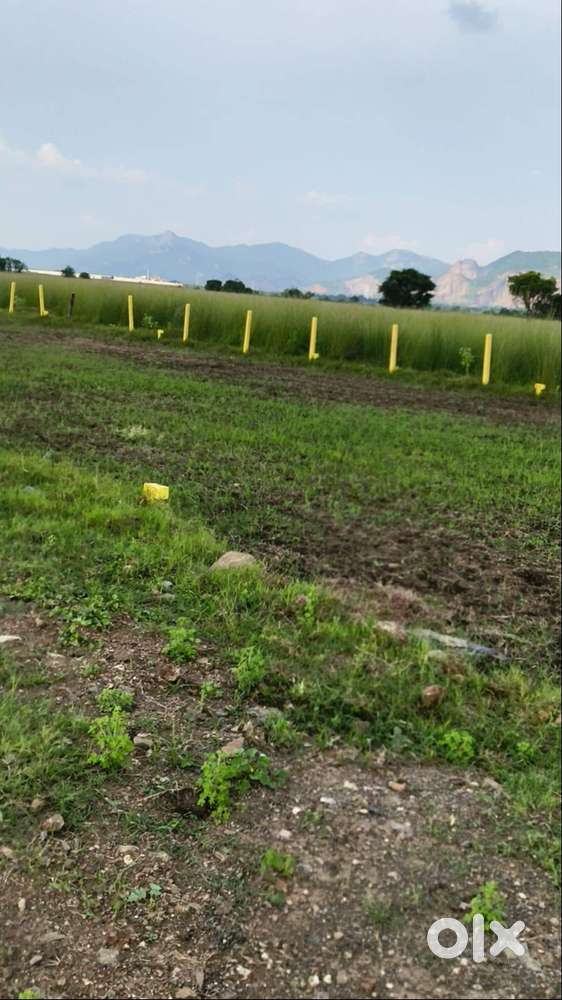 Kanchikacherla chevitiakllu road facing plots at chevitiallu