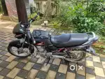 Suzuki Zeus