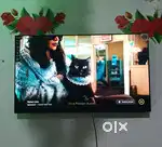 LED TV 43 inch Croam