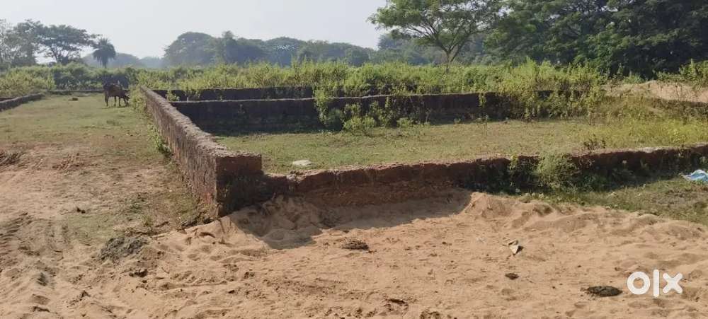 Gharbari bda yellow zone plot nakhara sum hos pital back site