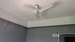 2 bhk flat for rent