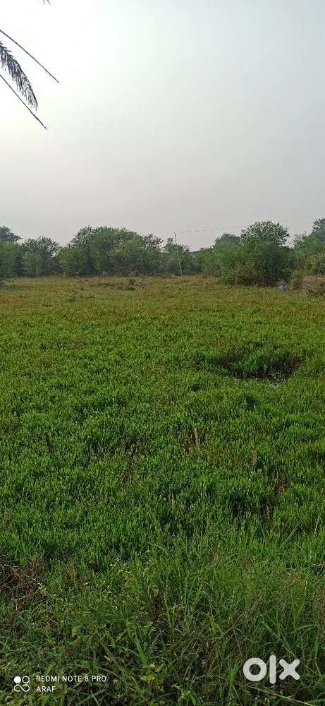 Farm Land for sale