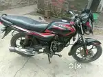 Best congratulations 5 gear