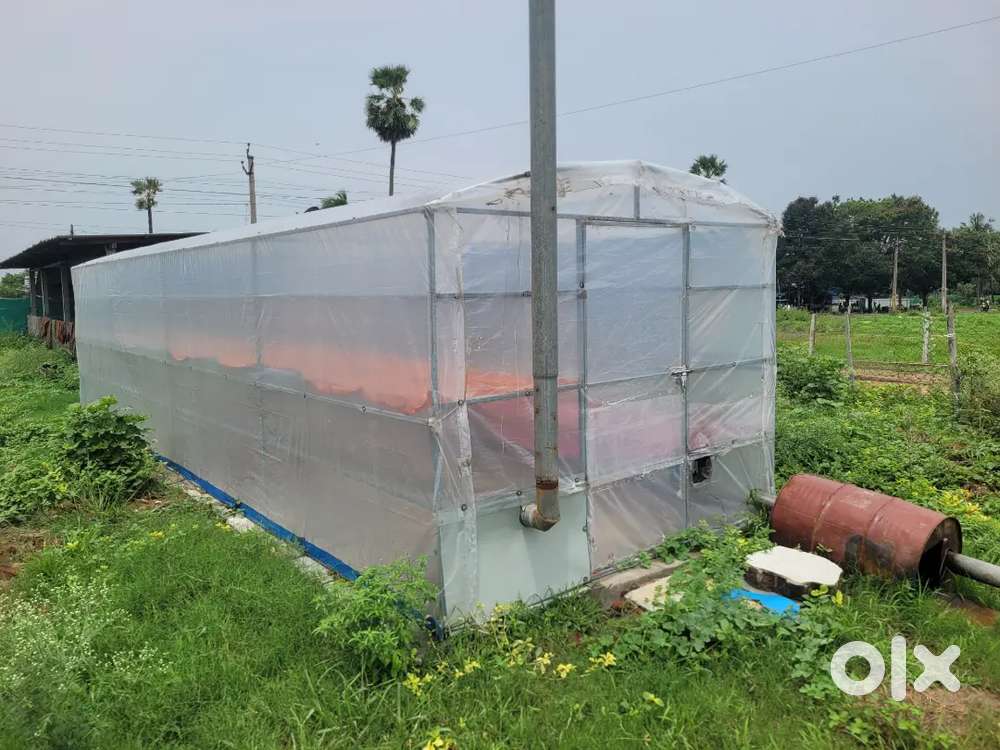 Solar dryers 9x30 feet